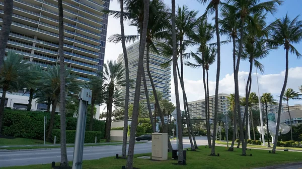 Miami Usa April 2022 Modern Apartment Buildings Palm Trees Avenue — Fotografia de Stock