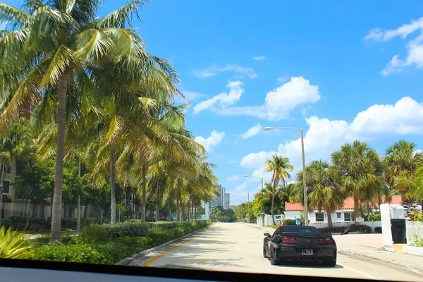 Miami Usa April 2022 Modern Apartment Buildings Palm Trees Avenue — стоковое фото