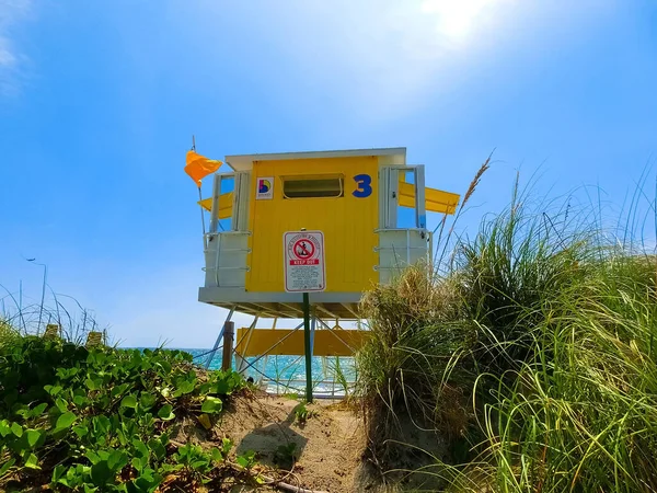 Dania Beach Florida Usa May 2022 Long Distance View Sunny — Stockfoto