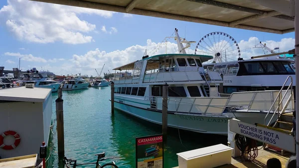 Miami Usa April 2022 Luxury Yachts Bayside Marina Miami Florida — Stockfoto