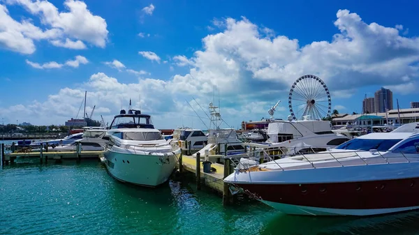 Miami Usa April 2022 Luxury Yachts Bayside Marina Miami Florida — Stock Photo, Image