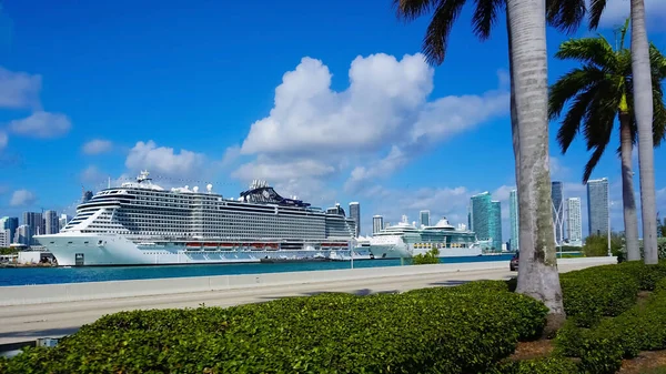 Miami Florida Usa April 2022 Port Miami Cruise Ships Miami — Stockfoto