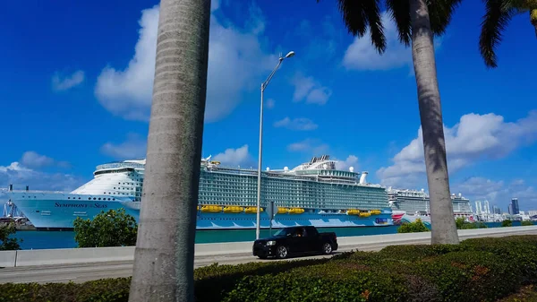 Miami Florida Usa April 2022 Port Miami Cruise Ships Miami —  Fotos de Stock