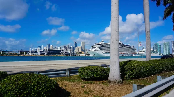 Miami Florida Usa April 2022 Port Miami Cruise Ships Miami — 스톡 사진