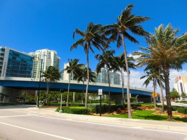 Miami, ABD - 24 Nisan 2022: Miami, Usa 'da palmiye ağaçları olan modern apartmanlar