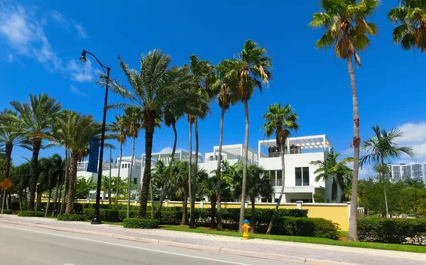 Miami Usa April 2022 Modern Apartment Buildings Palm Trees Avenue — Stockfoto