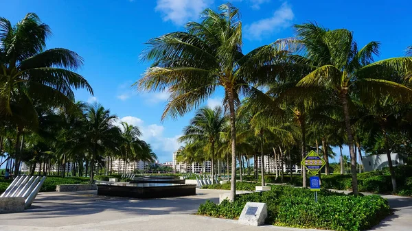 Miami Usa April 2022 Street View South Pointe Park Pier — Stockfoto