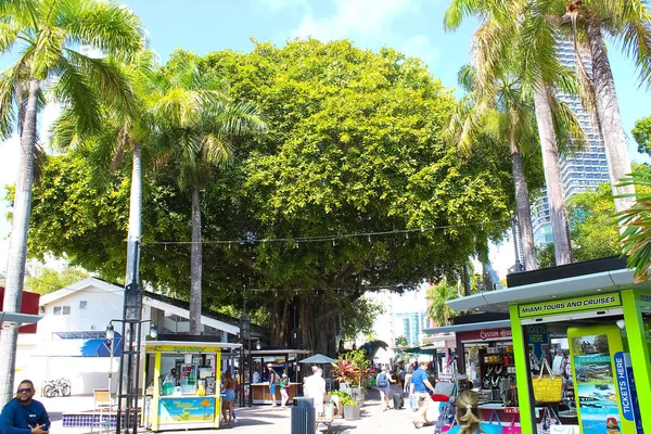 Miami Usa April 2022 Imiami Marina Bayside Marketplace Marina Completely — Stock Photo, Image