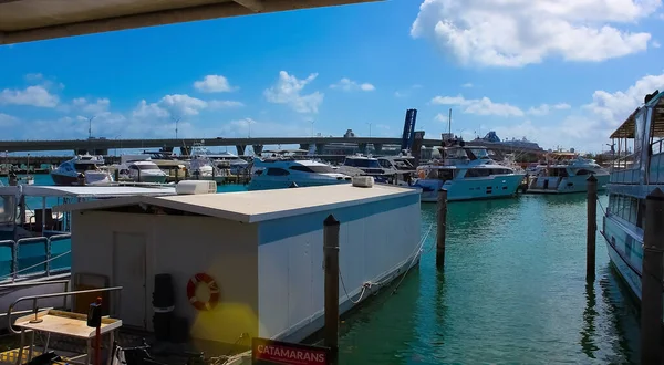 Miami Usa April 2022 Luxusyachten Der Bayside Marina Miami Florida — Stockfoto