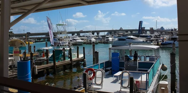 Miami Usa April 2022 Luxury Yachts Bayside Marina Miami Florida — стоковое фото