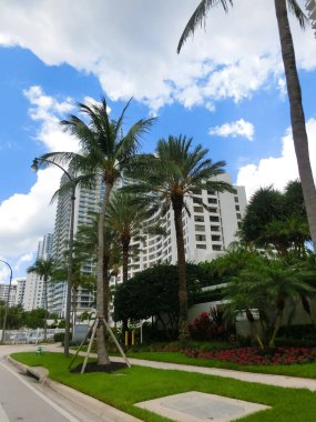 Miami, USA - April 24, 2022: Modern apartment buildings with palm trees at Avenue at Miami, Usa
