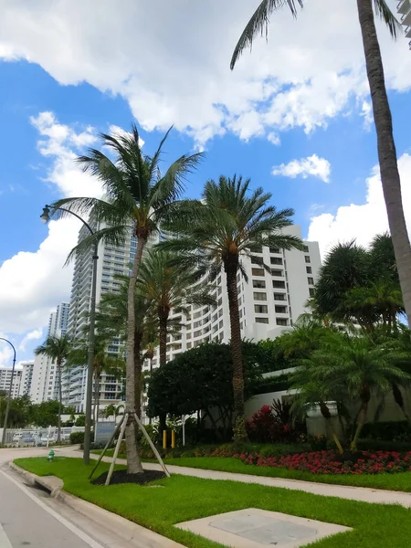Miami, ABD - 24 Nisan 2022: Miami, Usa 'da palmiye ağaçları olan modern apartmanlar