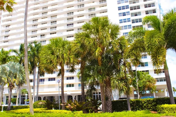 Modern Apartment Buildings Palm Trees Avenue Miami Usa — 스톡 사진