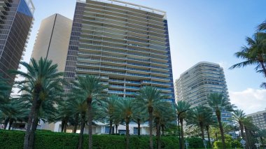 Modern apartment buildings with palm trees at Avenue at Miami, Usa
