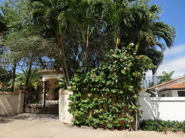 Современный Жилой Дом Дом Пальмами Майами Вид Дороги — стоковое фото