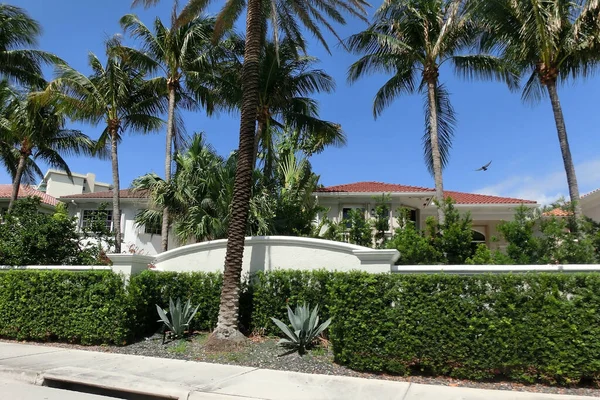 Modern Apartment Building House Palm Trees Miami View Road — Foto Stock