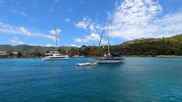 Thomas Usvi Uitzicht Groene Kustlijn Bij Een Van Amerikaanse Maagdeneilanden — Stockvideo