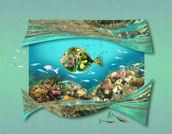Colorful Coral Reef Many Fishes Art Design Caribbean Sea Travel — Stockfoto