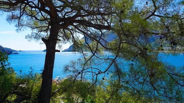 Marmaris镇的Icmeler海滩景观 土耳其地中海沿岸的夏季风景 透过松树枝条眺望海湾和群山 — 图库照片