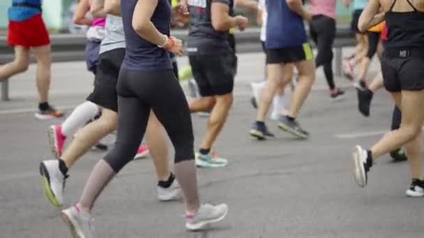 Nohy maratonských běžců na silnici — Stock video