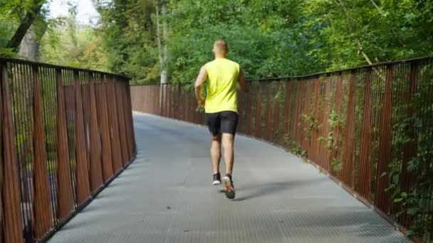 Jogger running on bridge in summer — Stock Video