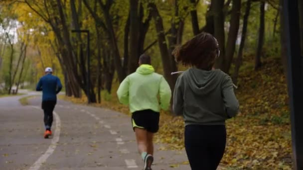 공원에서 조깅하는 사람들의 동작은 이어폰을 사용하는 여자들에게 활동적 사람들 가을에 — 비디오