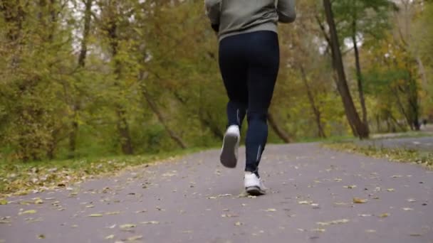 Fitte Frau Sportkleidung Joggt Zeitlupe Mit Umgefallenen Blättern Auf Der — Stockvideo