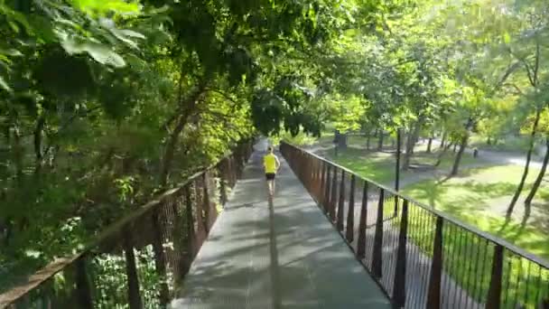 Corredor de cámara lenta en el puente en el parque — Vídeo de stock
