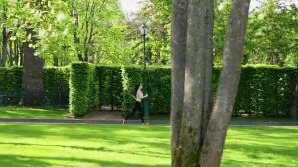 Frau joggt im Sommer in Zeitlupe gegen Gartenlabyrinth — Stockvideo