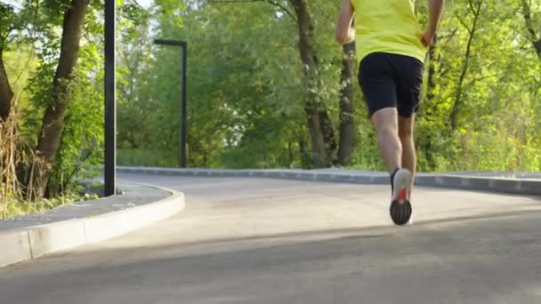 Låg bild av joggare på väg i parken — Stockvideo