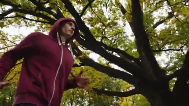 Biegacz biegający pod żółtymi drzewami w zwolnionym tempie — Wideo stockowe
