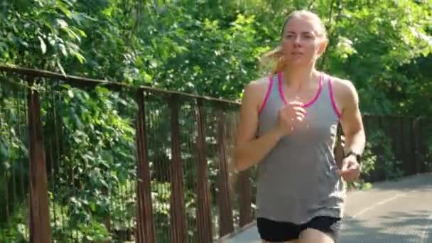 Žena jogging v parku v létě ráno — Stock video