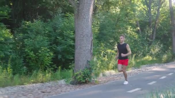Fit άνθρωπος τρέχει στο πάρκο σε φωτεινό ήλιο — Αρχείο Βίντεο
