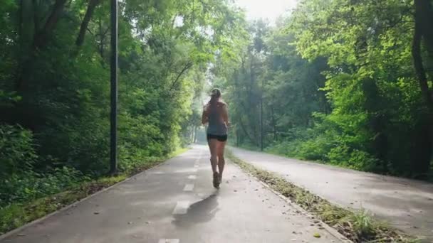 Passande kvinna joggar i parken på sommaren morgon — Stockvideo