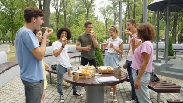 Друзі розважаються, їдять піцу в парку — стокове відео