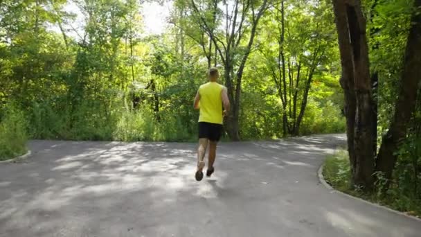 Slow motion jogger on road crossing in park — Vídeo de Stock