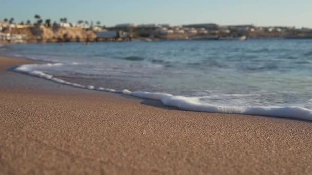 Ondas do mar na praia arenosa — Vídeo de Stock