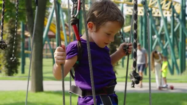 Хлопчик у безпеці насолоджується пригодами на мотузці в парку розваг — стокове відео