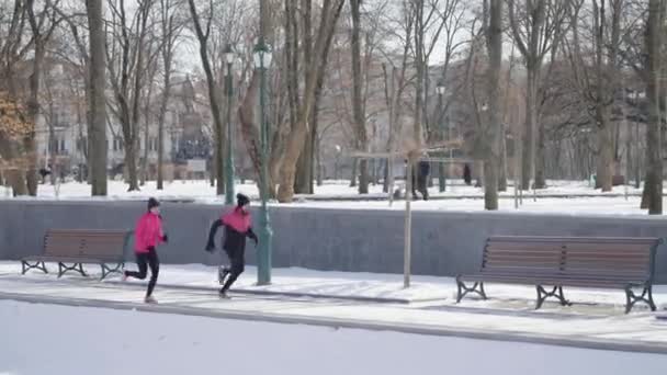 Бегуны с медленным движением в зимнем парке — стоковое видео