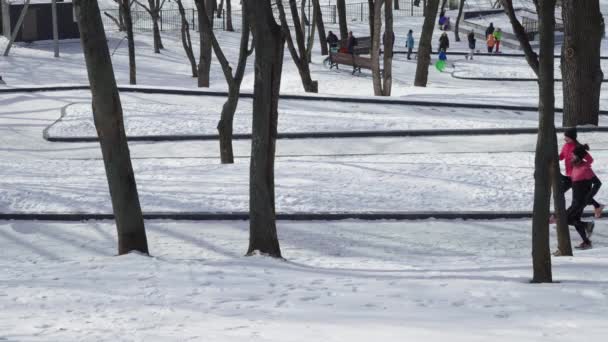 Slow Motion Paar Joggers Lopen Loopbrug Het Winterpark Gezinnen Met — Stockvideo