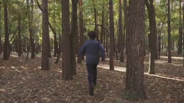 Повільний Біг Біжить Осіннім Сосновим Лісом Сонце Світить Крізь Дерева — стокове відео