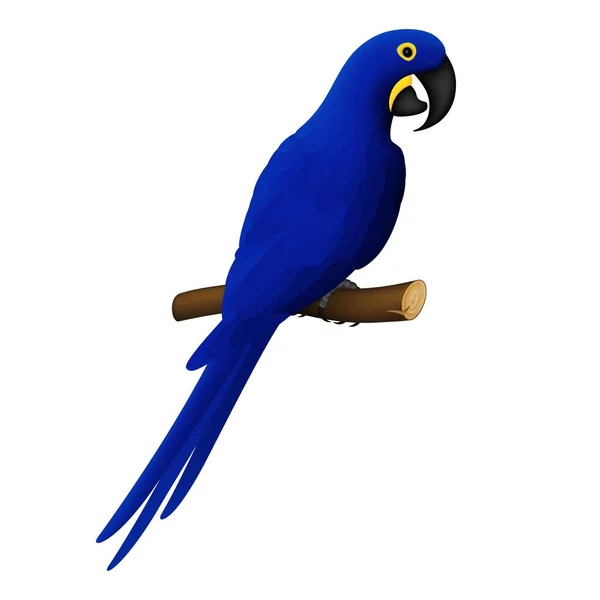 Ara Perroquet Macaw Aras Jacinthe Vecteur Réaliste — Image vectorielle