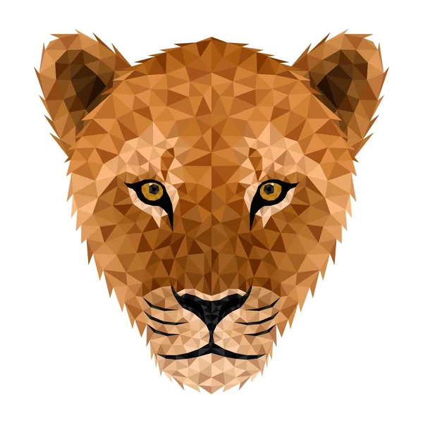 Lion Low Poly Low Poly Triangular Lion Face — Archivo Imágenes Vectoriales