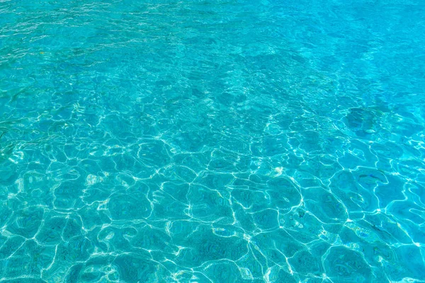 Denizde koşarken sürat teknesinin görüntüsü