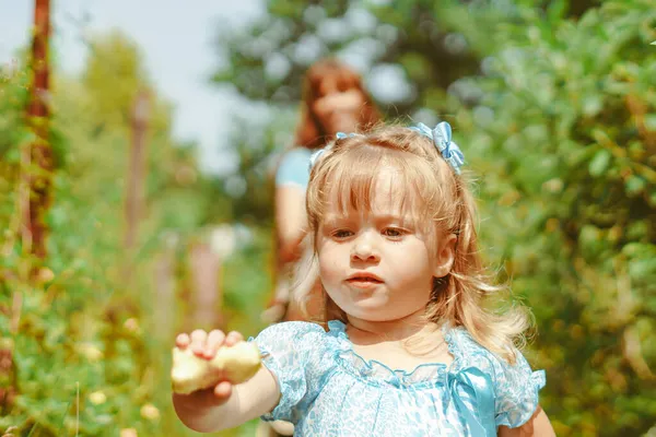 Крупный План Портрета Привлекательной Маленькой Девочки Открытом Воздухе Стоковое Фото