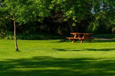 Piknik ahşap banklar parkta, ilkbahar Viyana, Avusturya 'da Donaupark' ta.