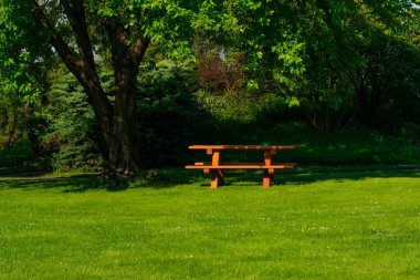 Piknik ahşap banklar parkta, ilkbahar Viyana, Avusturya 'da Donaupark' ta.