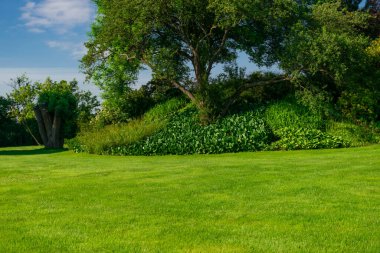 Piknik ahşap banklar parkta, ilkbahar Viyana, Avusturya 'da Donaupark' ta.