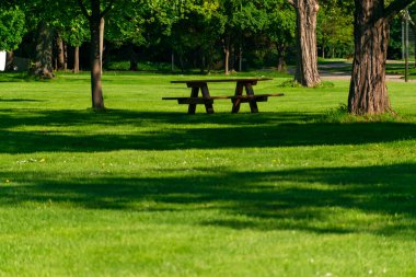 Piknik ahşap banklar parkta, ilkbahar Viyana, Avusturya 'da Donaupark' ta.