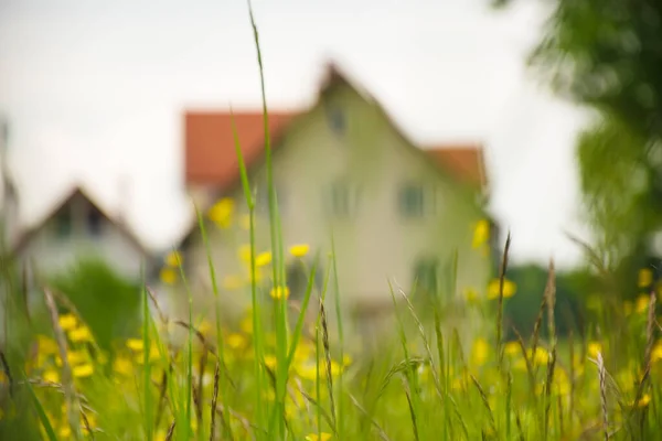 Suddig Alpint Landskap Med Grönt Gräs Förgrunden Foto Taget Fussen — Stockfoto